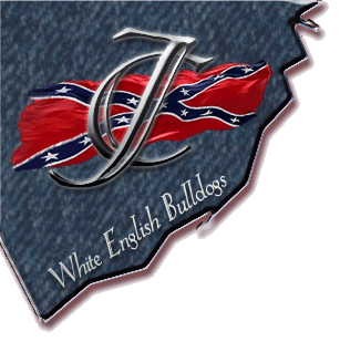 J. Clark's White English Bulldogs